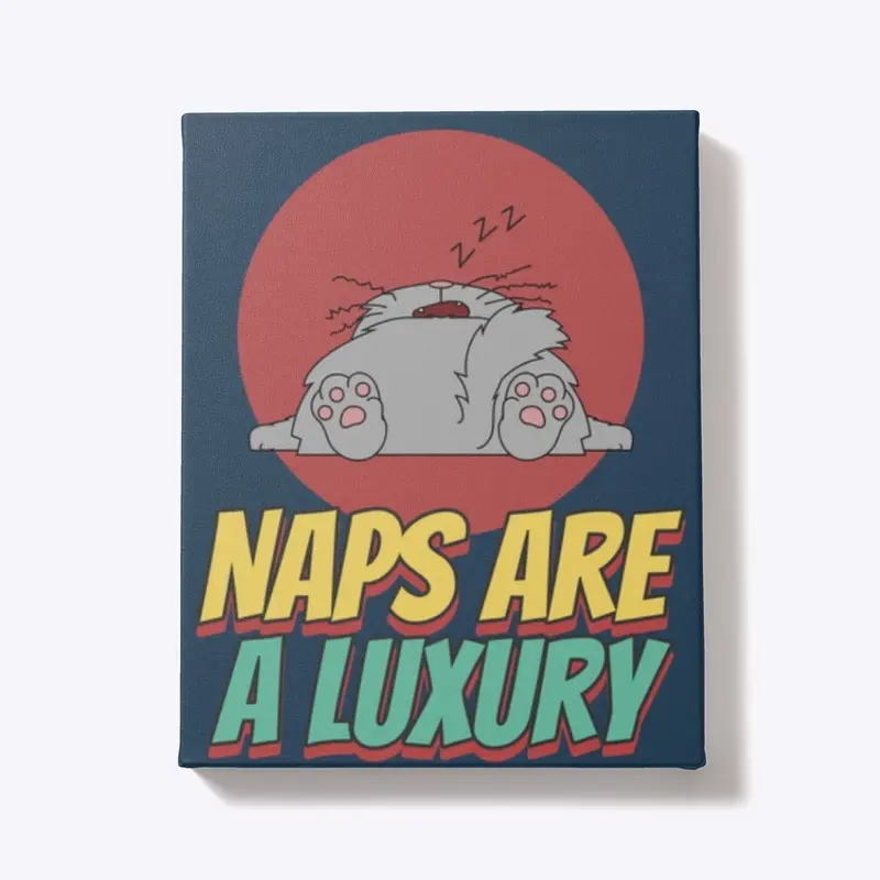 Naps are a Luxury 